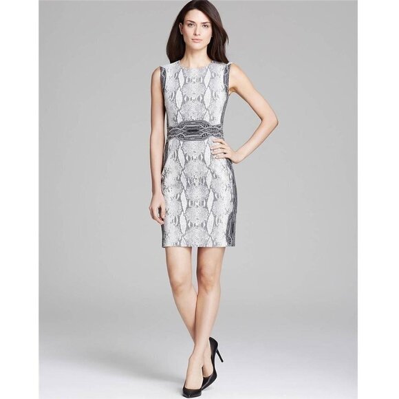 Diane Von Furstenberg BEY Embroidered Snake Print Sleeveless Dress Size 6 - Picture 1 of 13